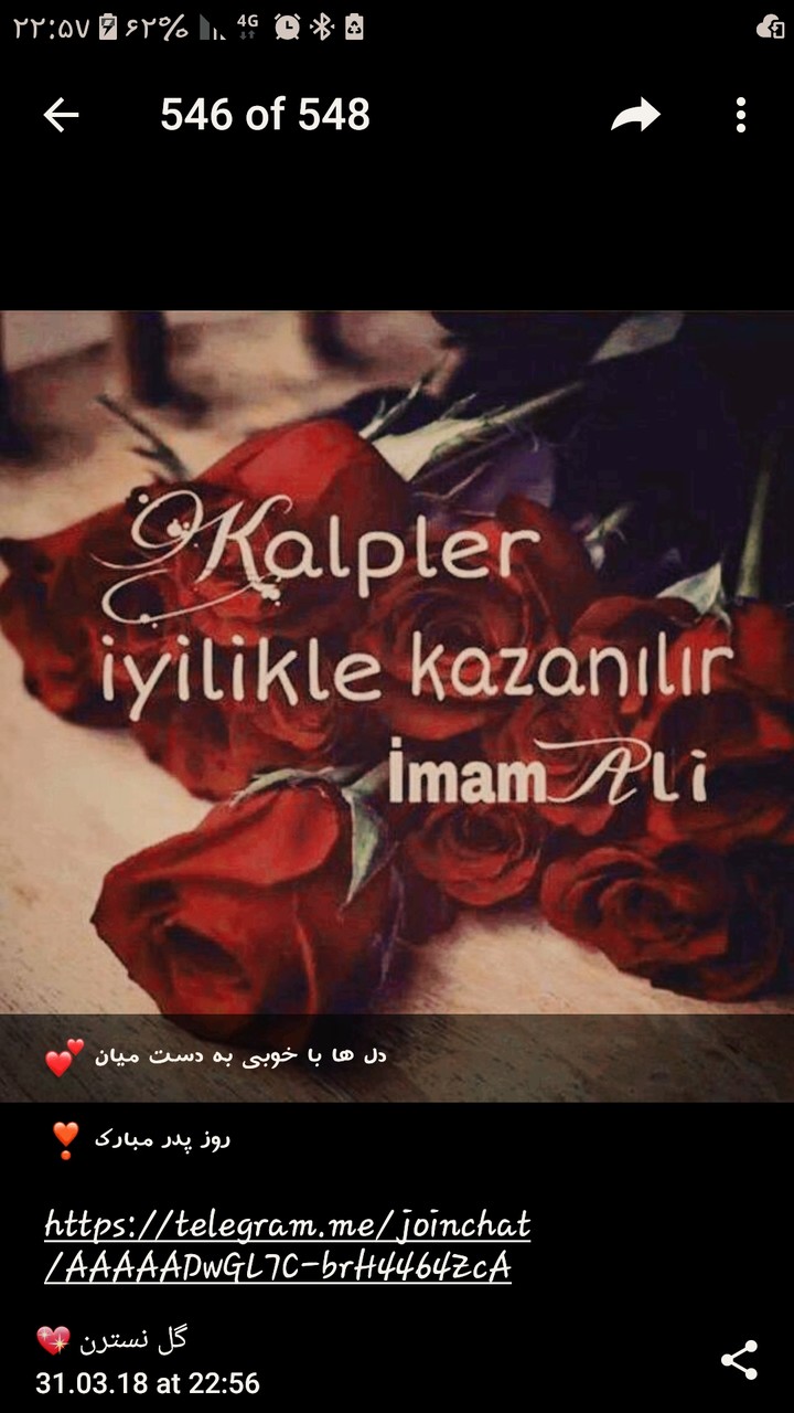 سخن امام علی(ع)