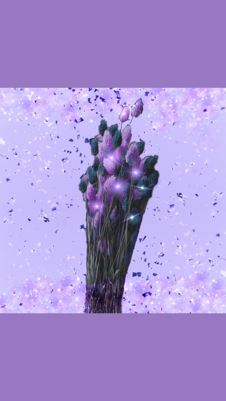 Violet♡