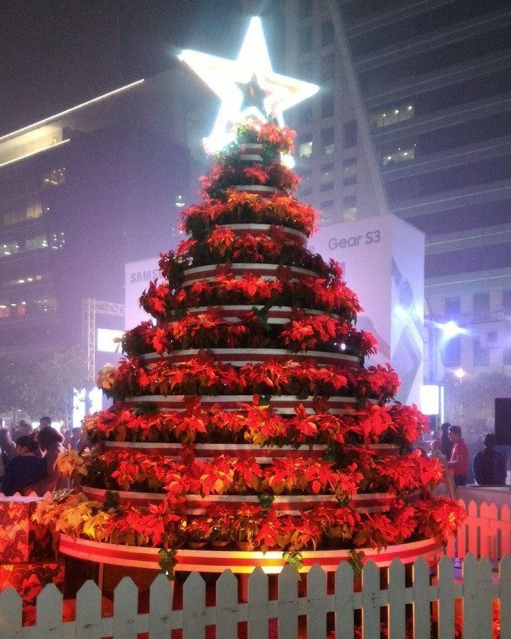 Christmas at DLF cyber city, Gurgaon