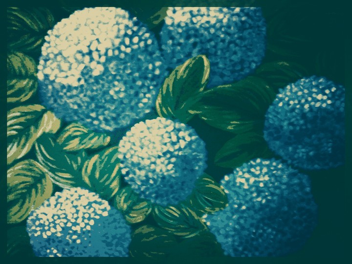 flowers