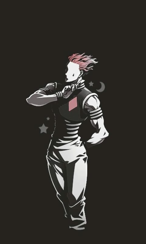 hunter x hunter
