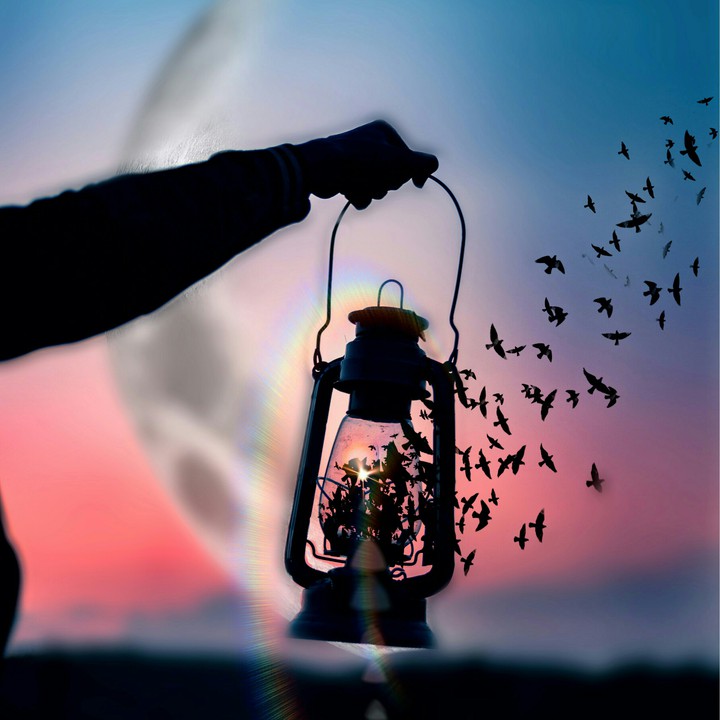 #Freedom