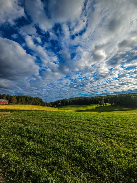 nature, green Hintergrundbilder
