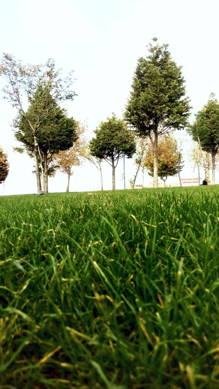 doğa