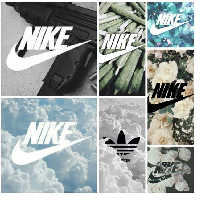 ysgxbb