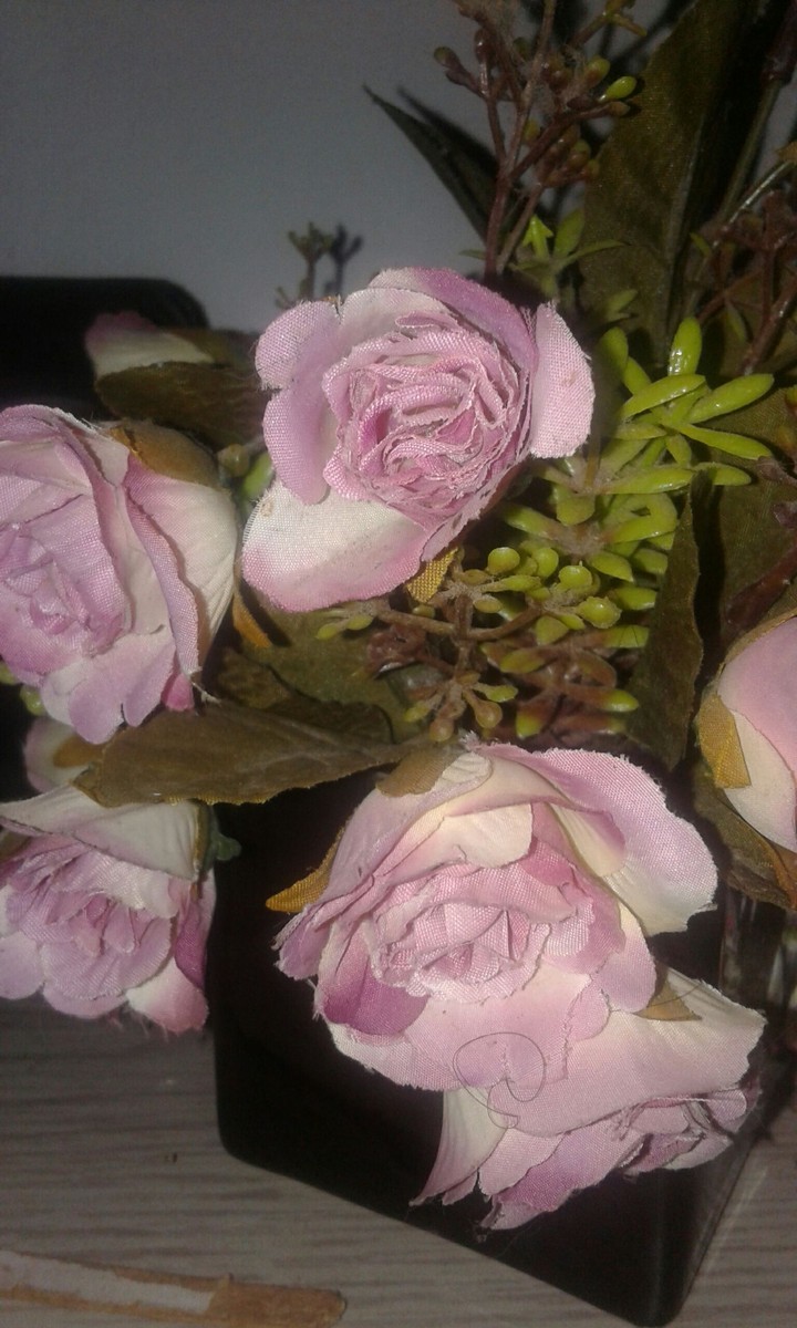 rosa