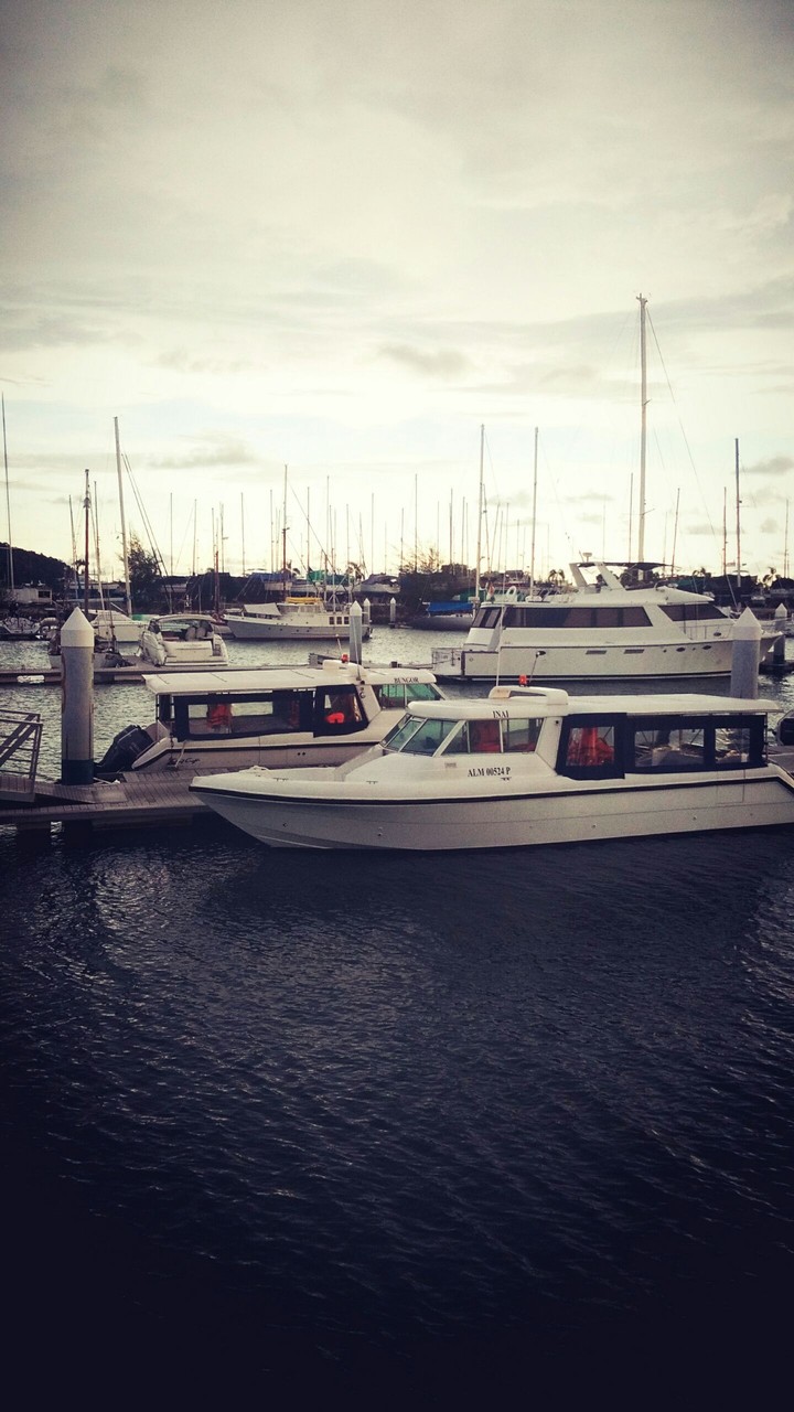 Marina island with boat