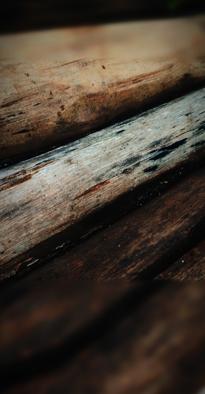 wallpaper