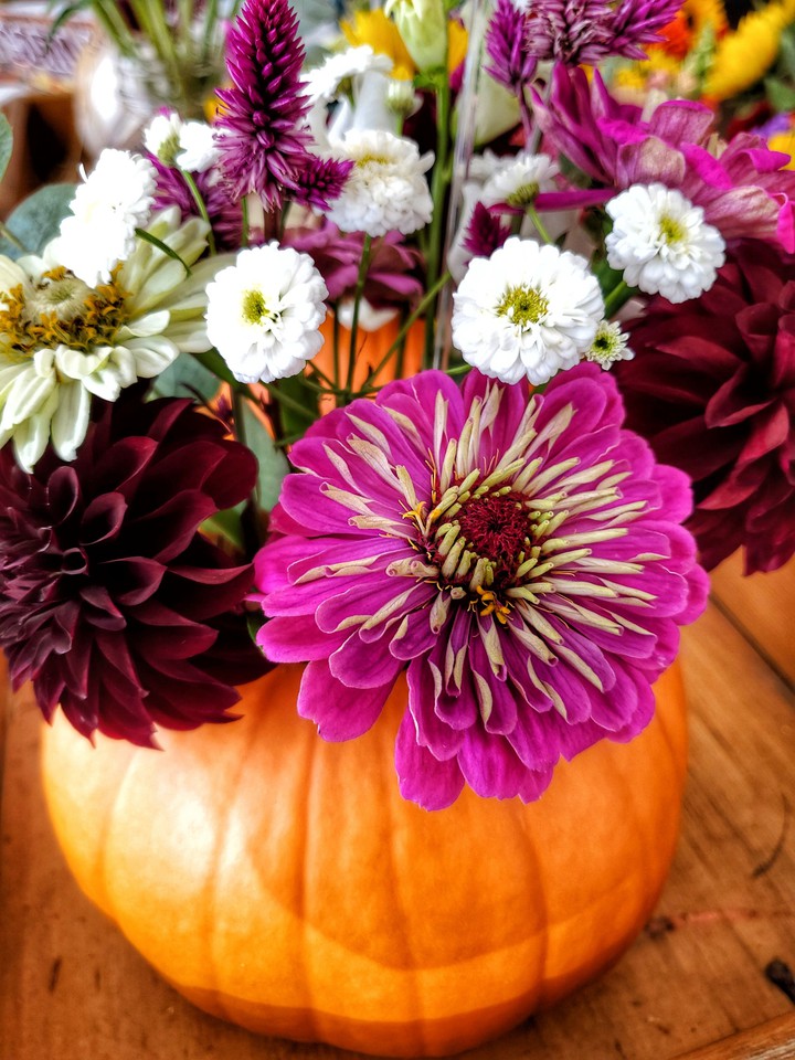 floral autumn
