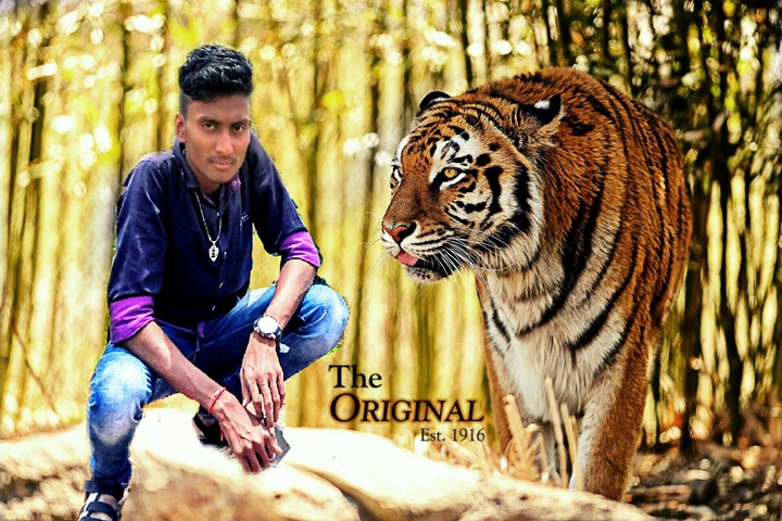 it's My Attitude....