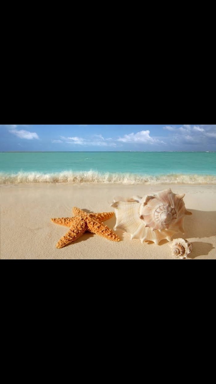 sea ?