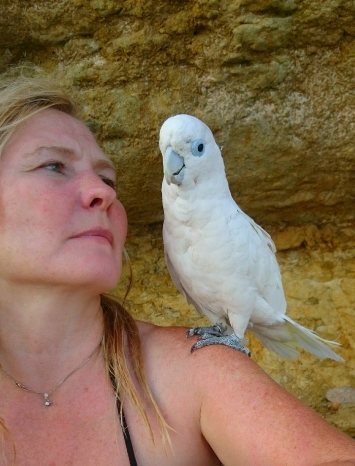 ADORABLE TALKING PARROT