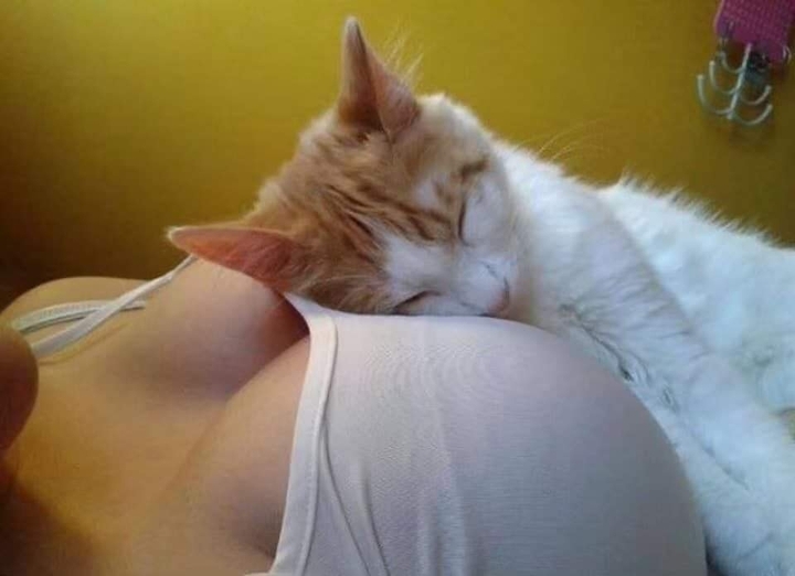 ?