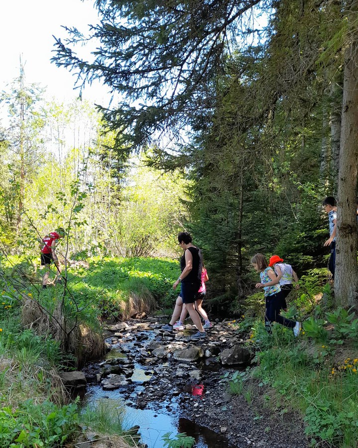 nature