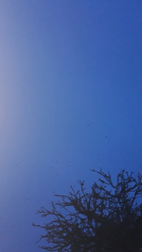 evening TIME
