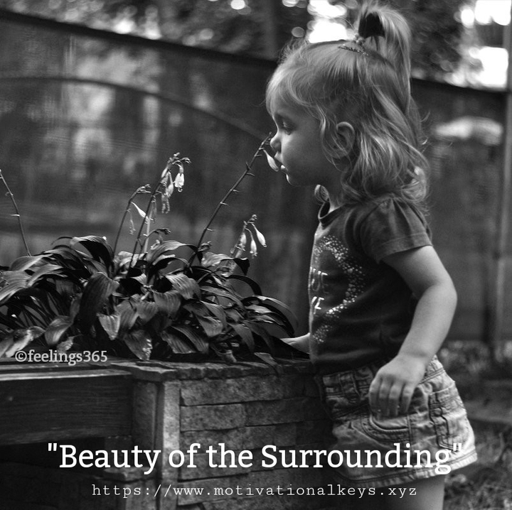 Beauty of Surrounding