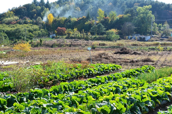산이미지