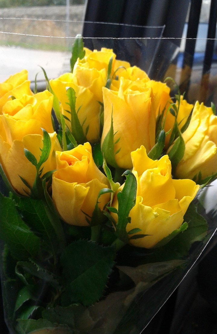 #yellow #roses