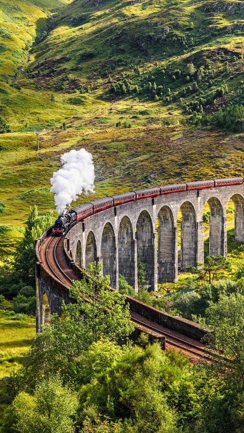train
