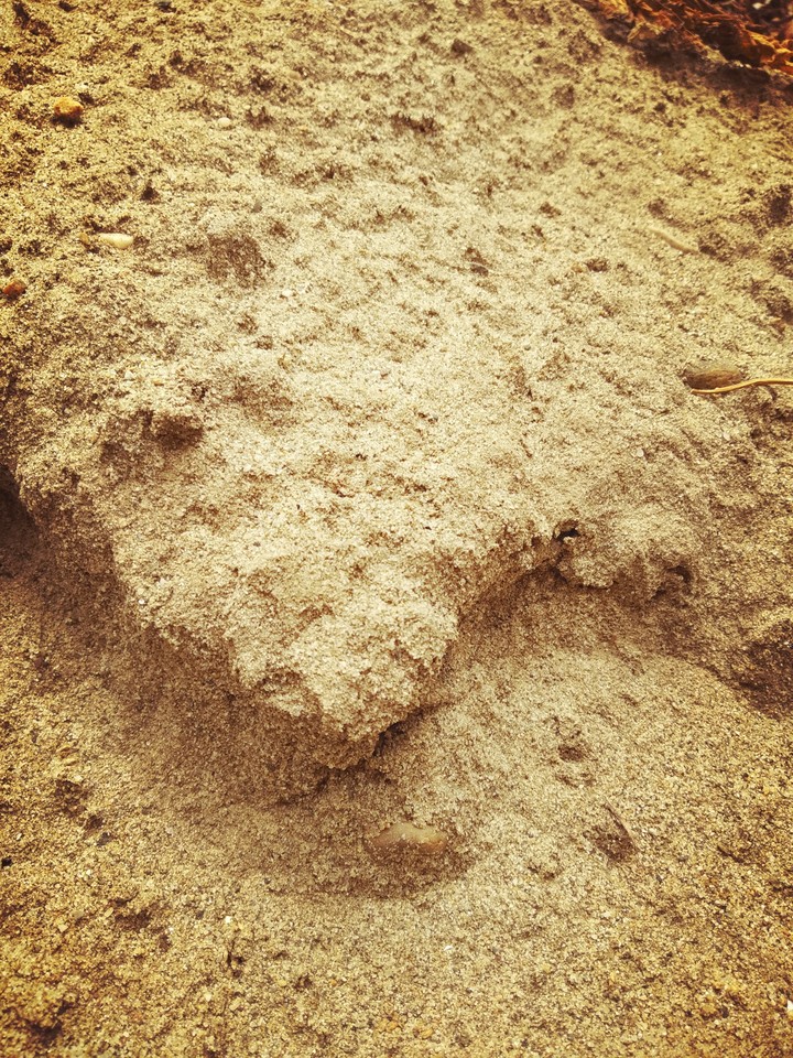 sand
