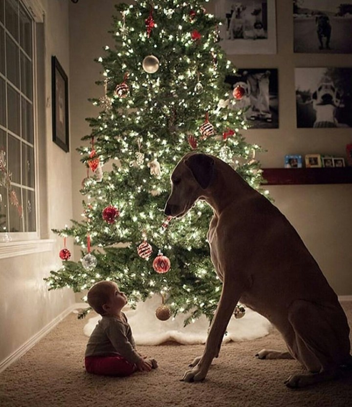 Christmas