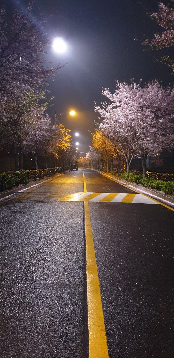 꽃길