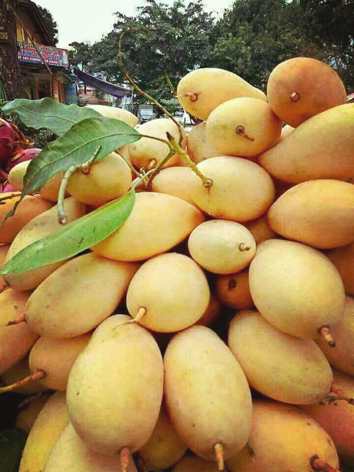 Indian mangoes