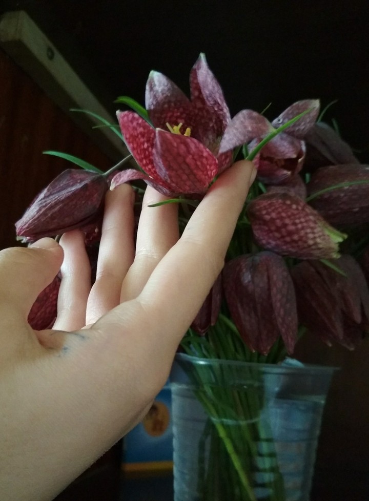 flowers