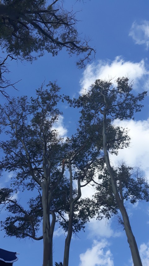 Cielo azul.