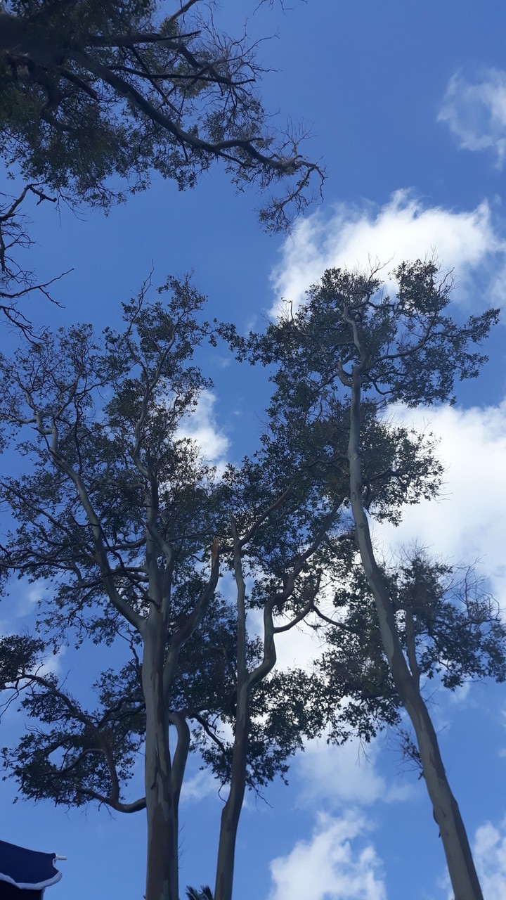 Cielo azul.