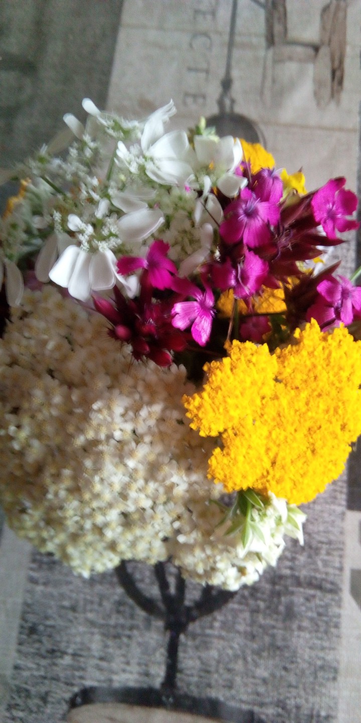 Flowers