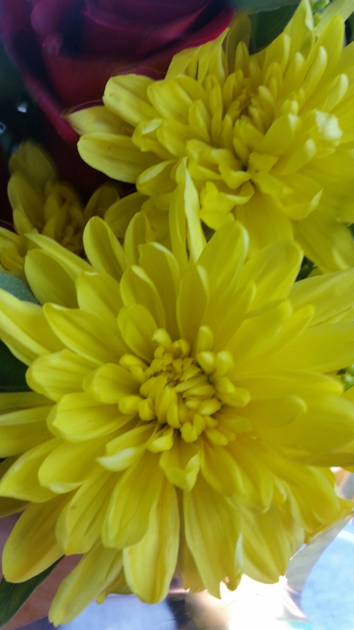 Yellow Hello!