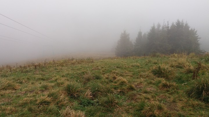 Ukrainian Carpathians bewitching fog.