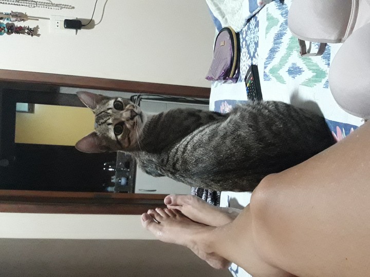 eu e o Juca 
