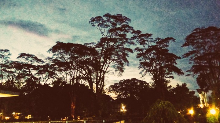 In the evening in the tranquil