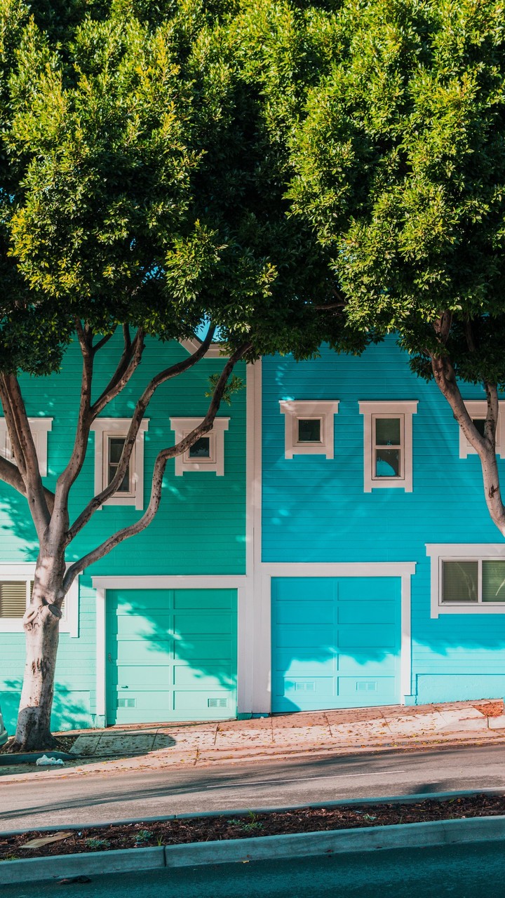 Neighborhood