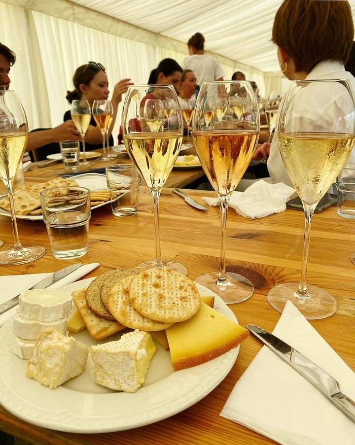 vineyard tasting