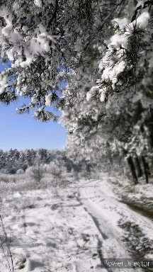 зима