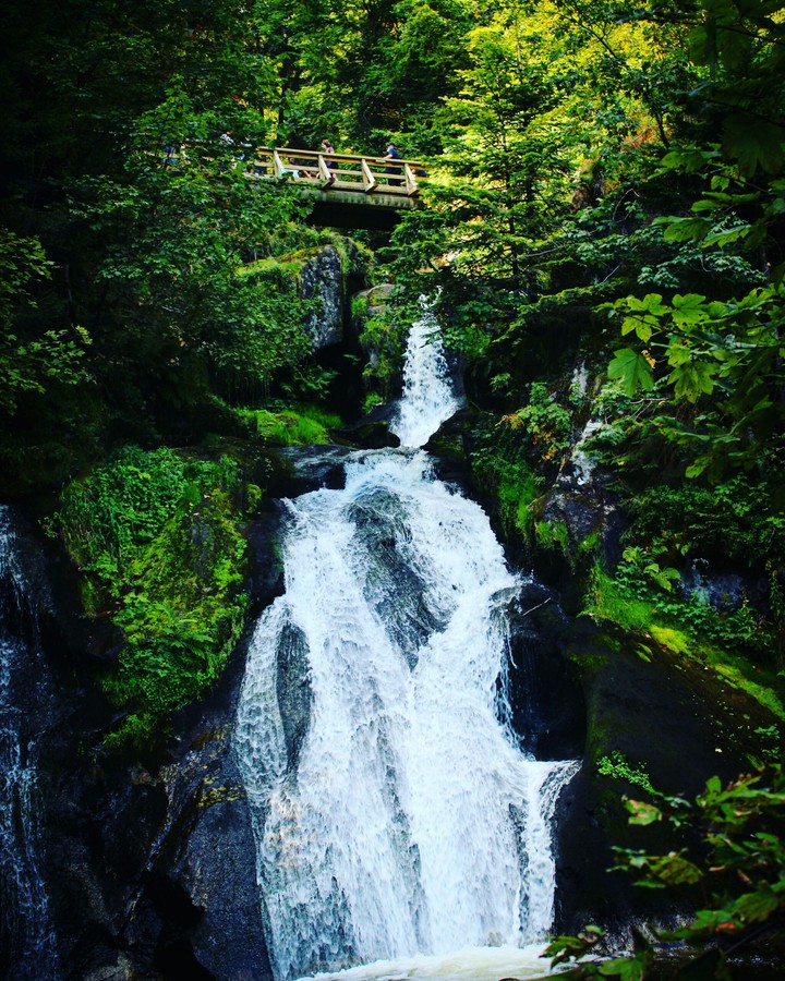 Amid the nature