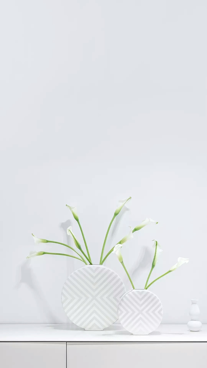 white n Green