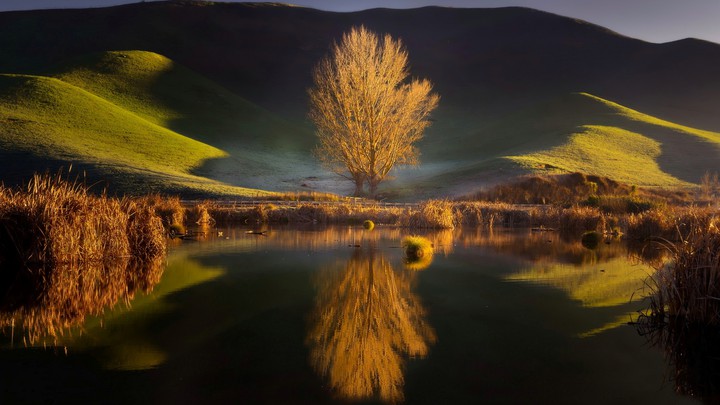 Reflection