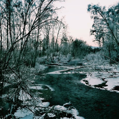 Ледяная красавица