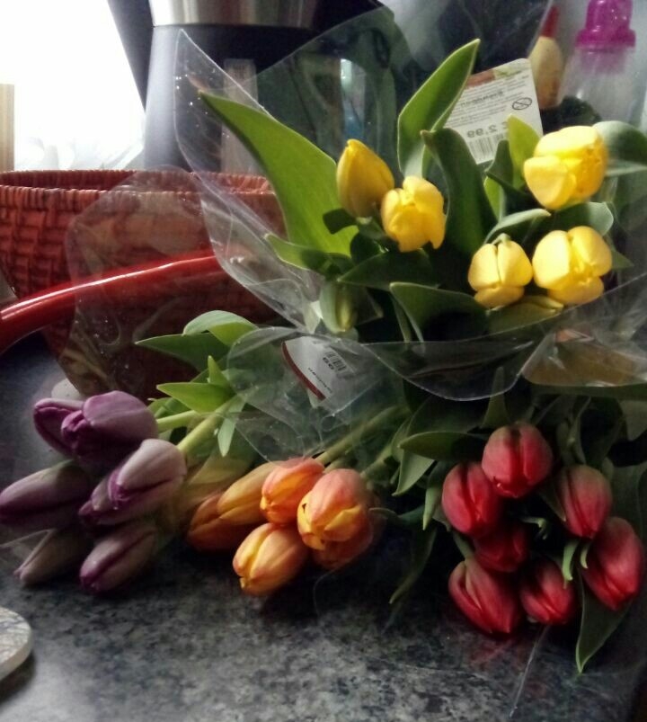 Tulpen im November