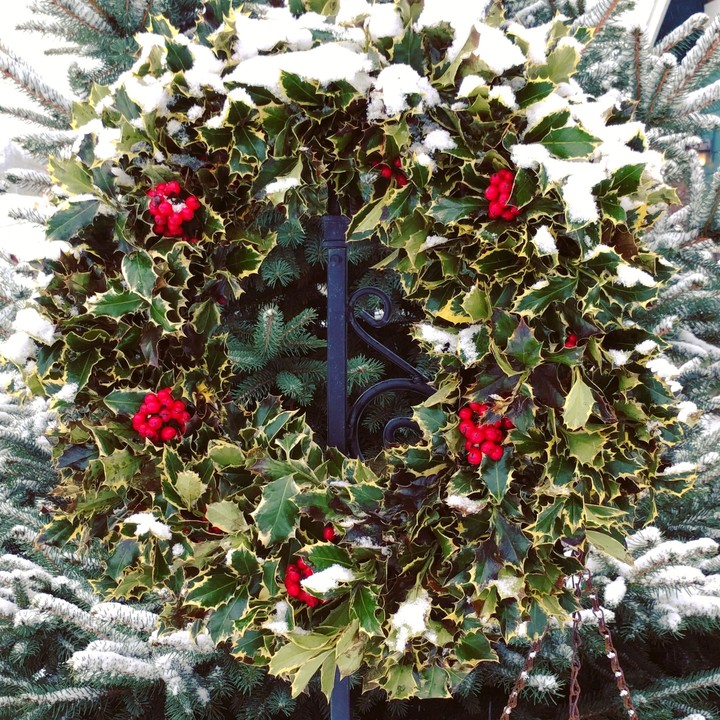 Christmas snow