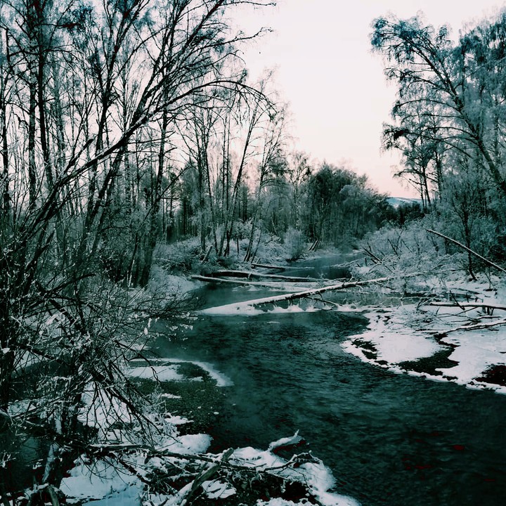 Ледяная красавица
