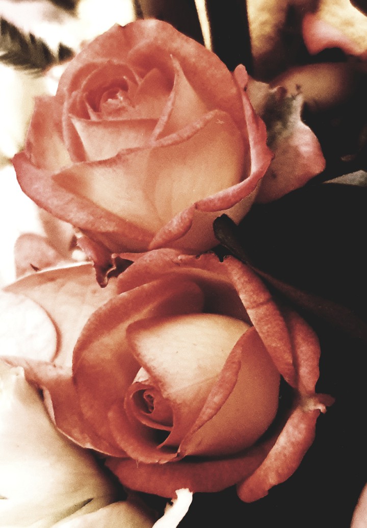 fiore