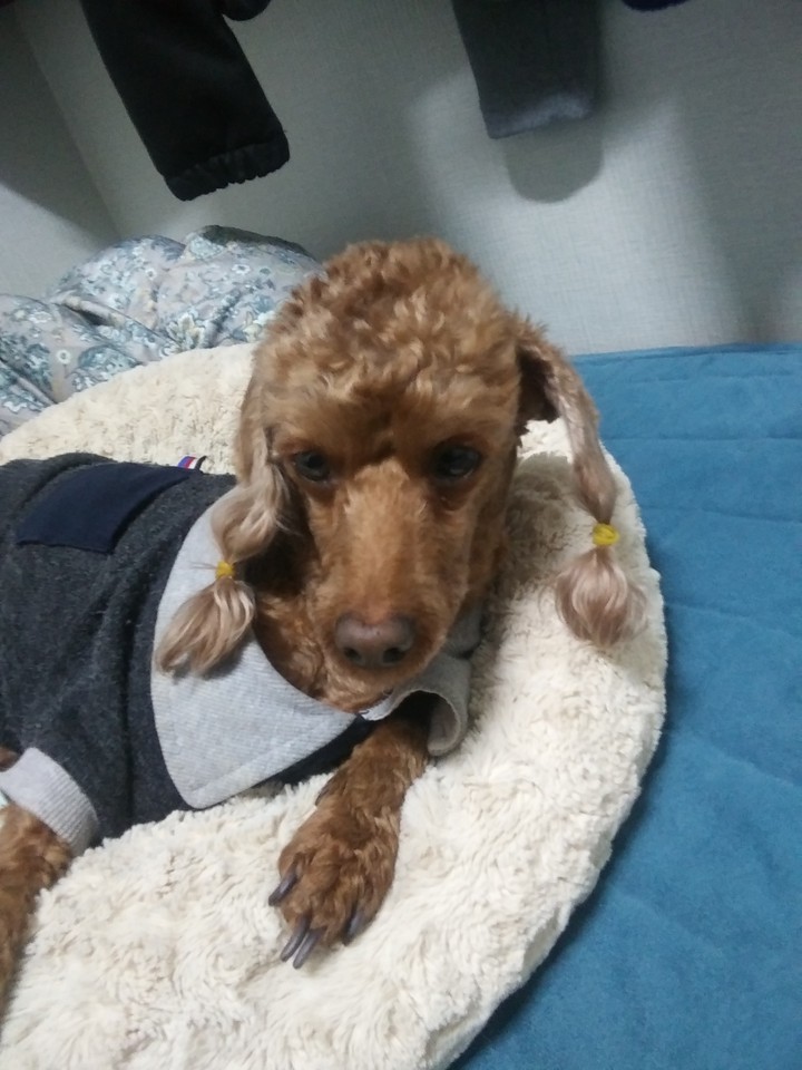 무슨  일이야