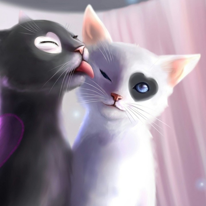 ♡