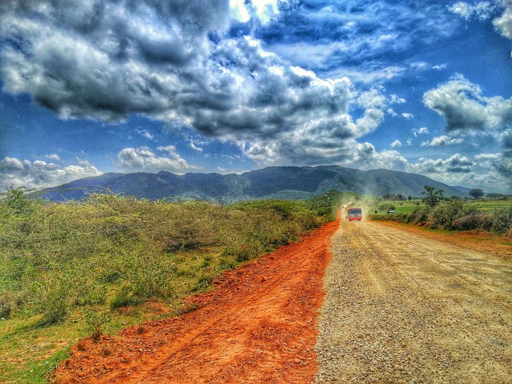 Road not taken