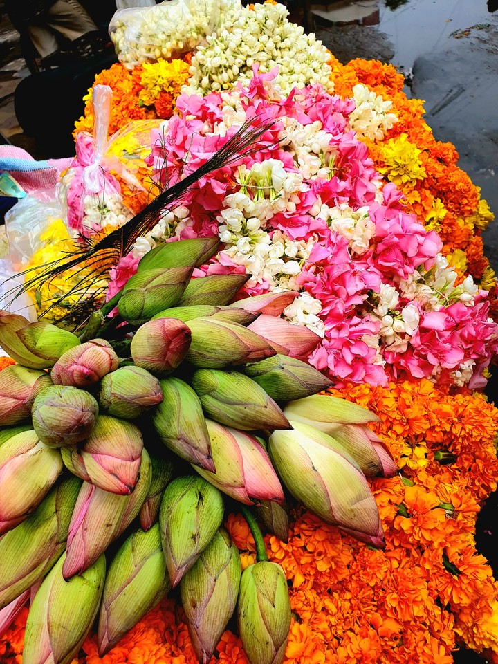 Flowers